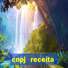 cnpj receita federal cadastro